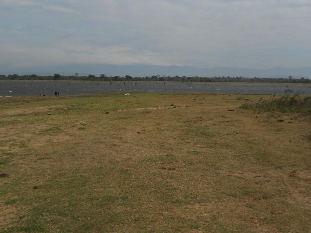 Splendid Lake View Safari Lodge Удавалаве Екстер'єр фото